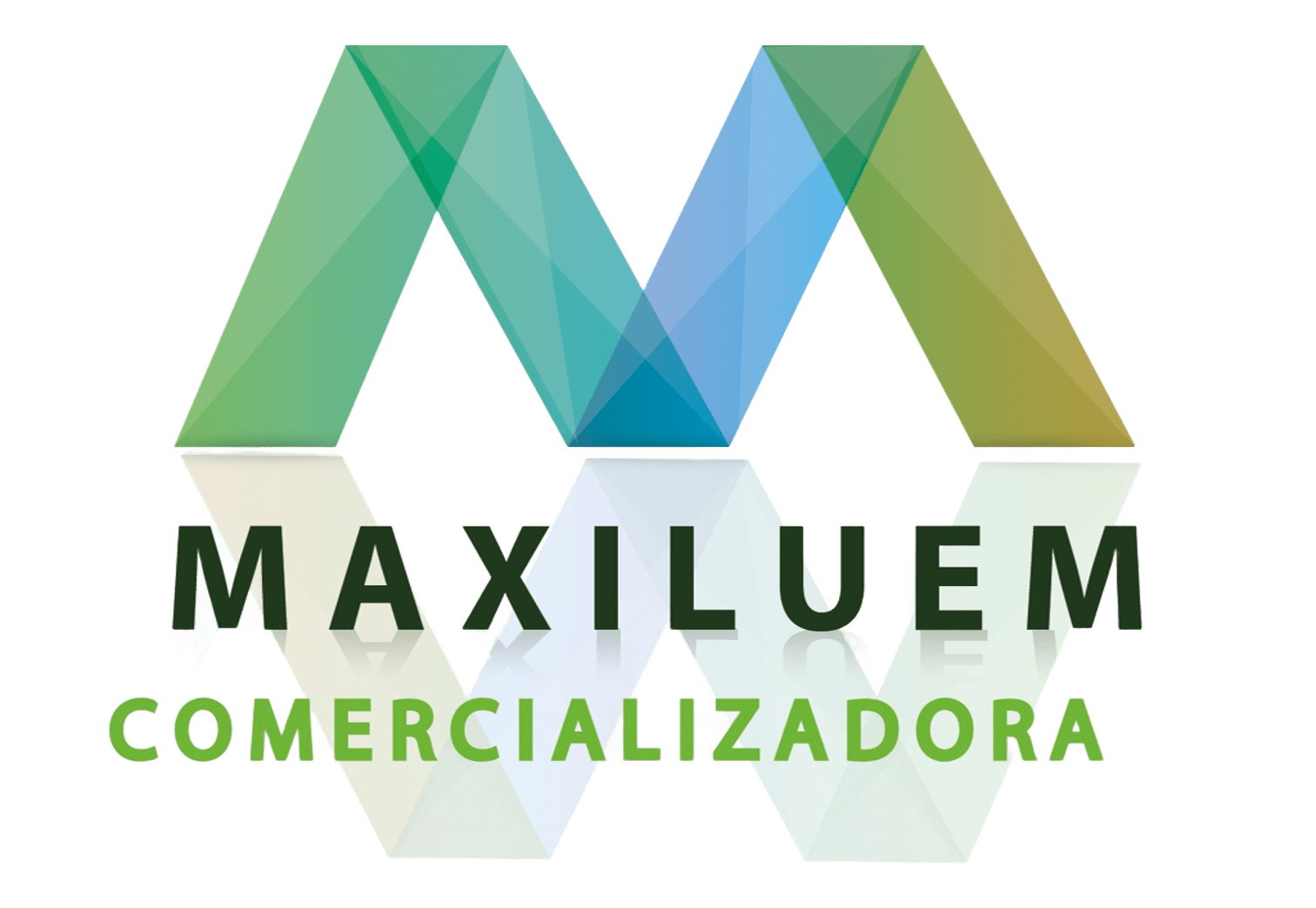 Logo Maxileum